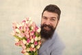 Spring holiday. Man bearded suit bow tie hold tulip flowers bouquet. Gentleman romantic surprise for her. Flowers Royalty Free Stock Photo