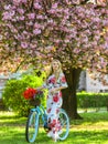 Spring holidays. Woman with tulips bouquet. Sakura tree blooming. Sakura season. Romantic bike ride. Tourism concept Royalty Free Stock Photo