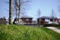 Spring in Holland Dutch grass flowers in front of house Royalty Free Stock Photo
