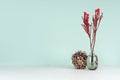 Spring home decor for library with red bizarre bouquet in black glass vase, decorative round brown sheaf of twigs in soft light.