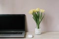 Spring home office still life composition. Blank laptop screen. Yellow tulips in a vase on the table. Office workplace. Royalty Free Stock Photo