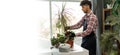 Spring houseplant care, Arabic man repotting houseplants. Transplanting plant into new pot at home. Banner. Royalty Free Stock Photo