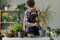 Spring houseplant care, repotting houseplants. Arab man is transplanting plant Dracaena into new pot at home. Royalty Free Stock Photo