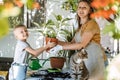 Spring Houseplant Care, repotting houseplants. Happy family, Mom and kid boy planting Houseplants In Pots, drainage