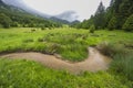 Spring of Hron, Horehronie, Low Tatras, Slovakia Royalty Free Stock Photo