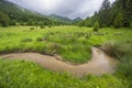 Spring of Hron, Horehronie, Low Tatras, Slovakia Royalty Free Stock Photo