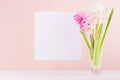 Spring hyacinth bouquet with pink and white flowers in vase with blank paper for greeting text on wood table, copy space. Royalty Free Stock Photo