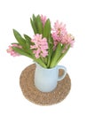 Spring hyacinths Royalty Free Stock Photo