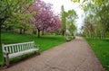 Spring in Hyde Park, London