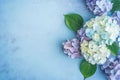 Spring hydrangea flowers bouquet on blue pastel background top view in flat lay style. Generative AI