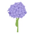 Spring hydrangea icon cartoon vector. Flower love floral