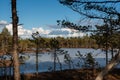 Spring ice-covered lake surrounded by pine forest. Royalty Free Stock Photo