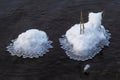 Two snowballs are floating on top of the water Royalty Free Stock Photo