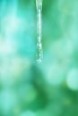 Spring icicle on a blue blurred background