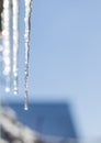 Spring icicle melts in sunlight Royalty Free Stock Photo