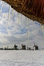 Spring icicles