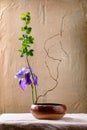 Spring ikebana with irises flowers Royalty Free Stock Photo