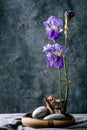 Spring ikebana with irises flowers Royalty Free Stock Photo