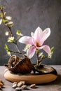 Spring ikebana with white flowers Royalty Free Stock Photo