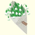 Spring illustration, a bouquet of cute snowdrops in a paper bag with a ribbon with a label. Clip art, greeting car