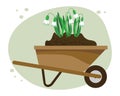 Spring illustration, garden cart filled with earth with cute snowdrops. Print, postcard