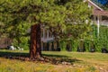 Spring Image in Wawona Hotel at Yosemite National Park Royalty Free Stock Photo