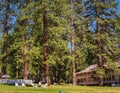 Spring Image in Wawona Hotel at Yosemite National Park Royalty Free Stock Photo