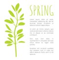 Spring Info Poster with Oval Leaves on Branch