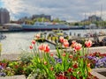 Spring in Inner Harbor, Victoria