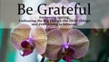 Spring inspirational quote - Be grateful. Embracing spring. Embracing the big things, the little things and everything in between Royalty Free Stock Photo