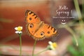 Spring inspirational quote - Hello spring. Do not forge to smile. With smiling sign emoticon and beautiful brown batik butterfly.