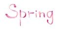 Spring. Inspirational quote about spring season, pink brush lettering isolated on white background