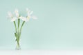 Spring interior in trendy green mint menthe color with fresh flowers  -  white bouquet of iris in transparent glass vase on  white Royalty Free Stock Photo