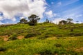 The spring in Irbid in the north of Jordan