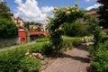 Spring in Italy. Trees flowers beautiful landscape