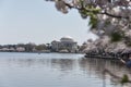 Spring at the Jefferson Memorial in Washington Royalty Free Stock Photo
