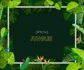 Spring jungles backgrounds s.