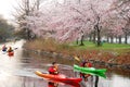 Spring Kayaking in Boston`s Esplanade