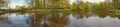 Spring Keukenhof Gardens. Panorama of lake. Horizontal panorama