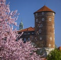 Tower of the Wawel Castle in flowers, Krakow, Poland Royalty Free Stock Photo