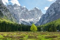 Krma valley in the Slovenian Alps