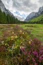 Krma valley in the Slovenian Alps