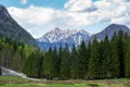 Krma valley in the Slovenian Alps