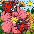 Spring Ladybugs On Flower Colored Illustration