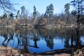 spring on the lake. Clear sky with light clouds and trees are reflected in the water