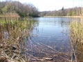 Spring lake, forest near Truskavets Royalty Free Stock Photo