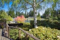 Spring lake view from house deck with biirch tree. Royalty Free Stock Photo