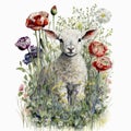 Spring Lamb With Flowers and Watercolor Drips