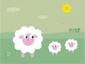 Spring lambs