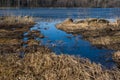 Spring landscape Royalty Free Stock Photo